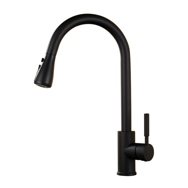 Faucet manufacturer batch kitchen faucet pull out matte black kitchen faucet with hose (3)