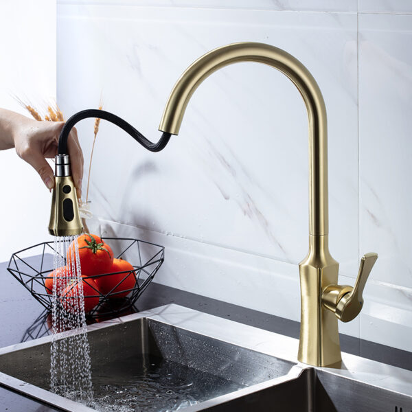 Golden brushed SUS304 stainless steel flexible rotating single handle hot and cold pull out the kitchen faucet (3)