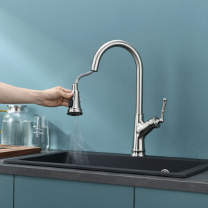 Modern Pull Out Spray Brass Kitchen Faucet Water Filter Tap Chrome Sink Hot and Cold Mixer Kitchen Faucet