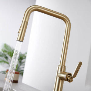 Single Handle Design Kitchen Sink Taps Faucet Pull Out Kitchen Faucets Gold With Pull Down Sprayer (10)