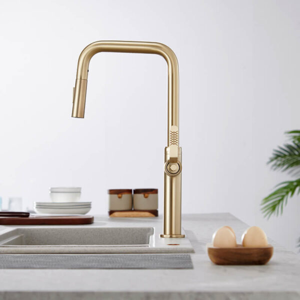 Single Handle Design Kitchen Sink Taps Faucet Pull Out Kitchen Faucets Gold With Pull Down Sprayer (3)