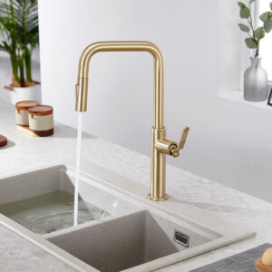 Single Handle Design Kitchen Sink Taps Faucet Pull Out Kitchen Faucets Gold With Pull Down Sprayer (9)