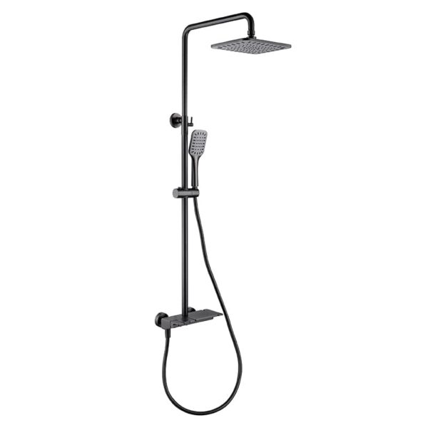 shower head with hand shower